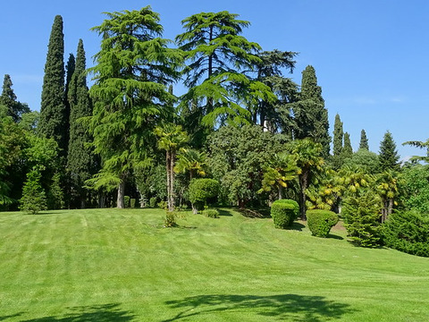 Villa Dei Cedri