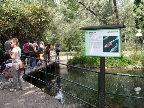 Parco Ittico Paradiso