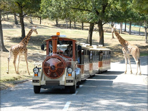Safari Park di Pombia