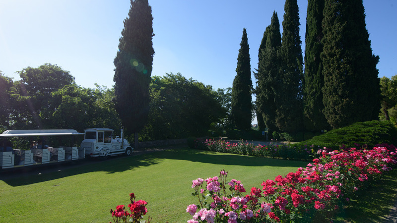 Parco Giardino Sigurtà - Viale delle Rose