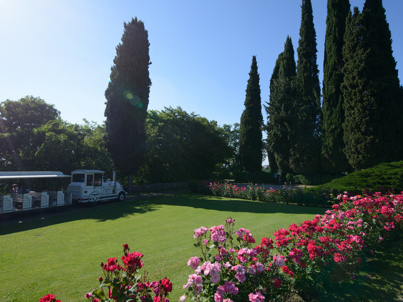 Parco Giardino Sigurtà - Viale delle Rose